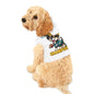 Super Bowl Champions Pet Hoodie - Celebrate Game Day in Style!