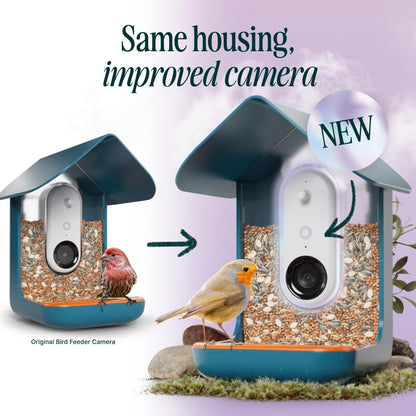 BIRD BUDDY® PRO Smart Bird Feeder with Camera - AI Bird Species Identification, 5MP Photos, 2K Ultra Video Live Stream Camera, HDR, Slow-Motion Video, 2.6in Focus, Blue