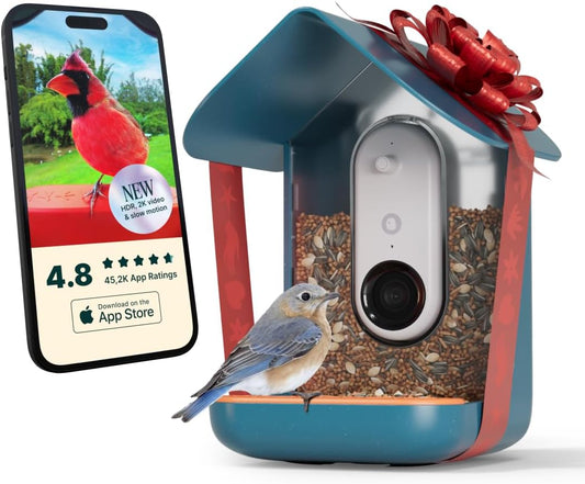 BIRD BUDDY® PRO Smart Bird Feeder with Camera - AI Bird Species Identification, 5MP Photos, 2K Ultra Video Live Stream Camera, HDR, Slow-Motion Video, 2.6in Focus, Blue